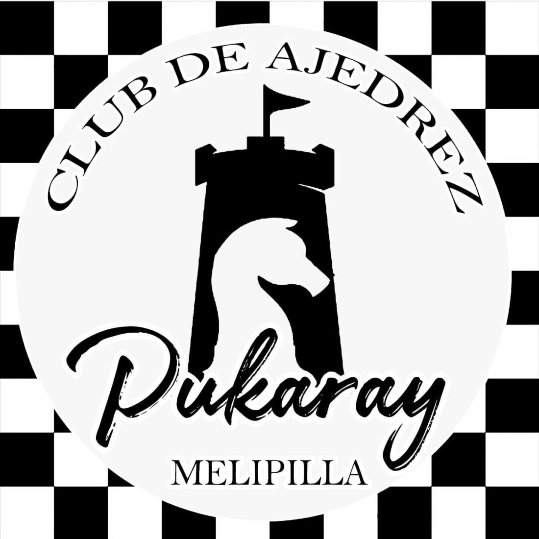 WhatsApp Image 2026-02-12 at 9.20.18 PM (1)